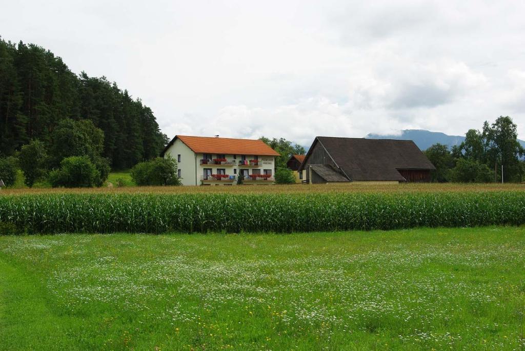 Pension Hribernig Sankt Primus Exteriér fotografie