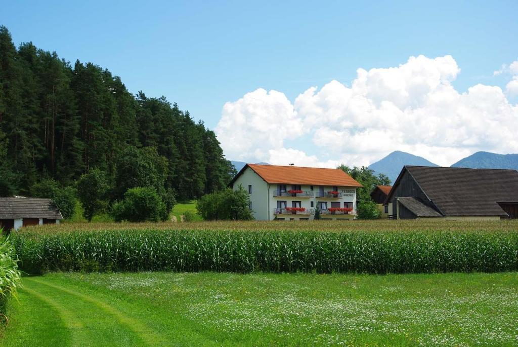 Pension Hribernig Sankt Primus Exteriér fotografie
